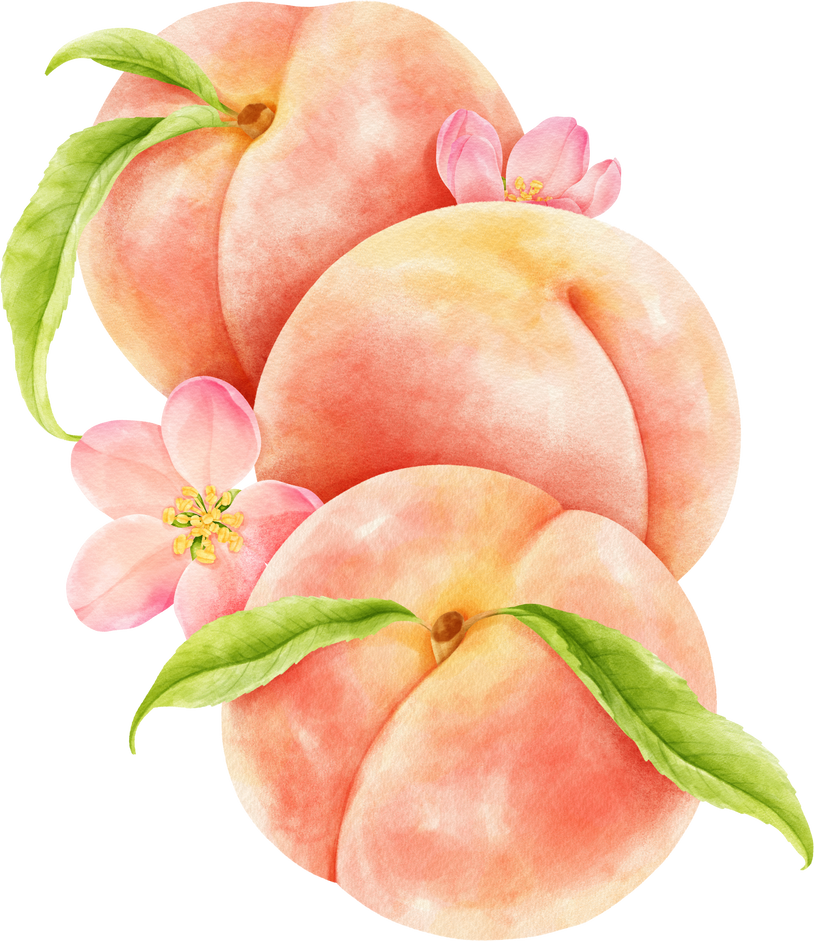 watercolor peach composition